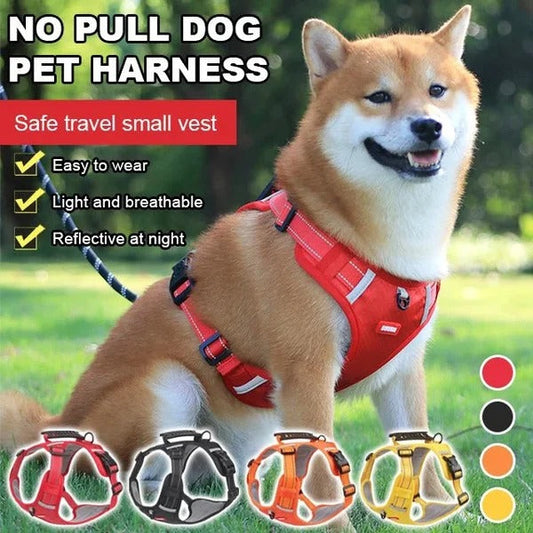 🐕 Húzásgátló kutyapóráz háziállatoknak