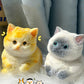 😻Cuki és puha macska alakú játék💕(stresszoldó)