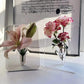 🎁 Exclusive 49% OFF! Nordic Transparent Acrylic Vase – Elegant Desktop Plant Holder & Home Decor – Cash on delivery ✨