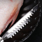 🐟Vásároljon 1 és kap 1 ingyen🐟 Rezsdamentes acélból készült halpikkely eltávolító