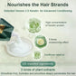 💦💦Polypeptide Keratin hidratáló simító hajkárosodást javító krém