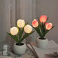 🔥 LED Tulip Night Light Flower asztali lámpa 🌷✨ | Romantikus hangulatvilágítás hálószobához és nappalihoz