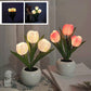 🔥 LED Tulip Night Light Flower asztali lámpa 🌷✨ | Romantikus hangulatvilágítás hálószobához és nappalihoz