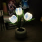 🔥 LED Tulip Night Light Flower asztali lámpa 🌷✨ | Romantikus hangulatvilágítás hálószobához és nappalihoz