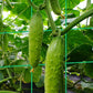 🍇🥒 A-keretes kerti rács – Stabil, rozsdamentes, mászó növényekhez | Könnyen szerelhető, tökéletes szőlő, uborka & kerti dísznövények támogatására 🌿🛠️