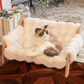🛏️😺 Emelt állatágy – tömörfa váz | Puha, mosható huzat – Utánvéttel 💪