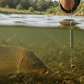 🎣 Fenék felett lebegő horgok – 🌊 Célzott, akadásmentes horgászat és maximális kapásbiztonság 🐟✨