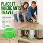🐜 Reusable Outdoor Ant & Termite Bait Station – Hangyák és termeszek ellen,hosszú távú védelem ⚡