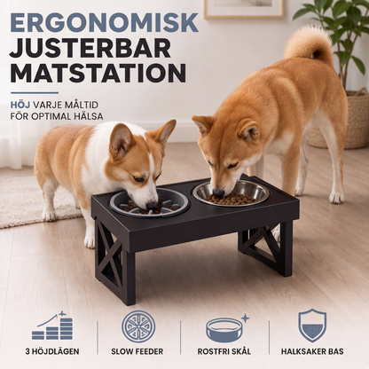 🐶 Emelt kutyatálak lassítóval és rozsdamentes acél tálak – Emelt étel- és itatótálak ✨