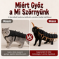 Ijesztő Halloween-i, százlábú formájú macskajelmez