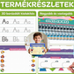 Magic Barázdált Kézírásgyakorló Könyvkészlet