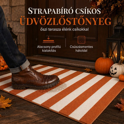 Egyszerű csíkos csúszásgátló ajtószőnyeg