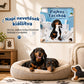 🐶 Rosszcsont tacskók kutya fali naptár – Cuki tacskók, vidám hónapok ✨