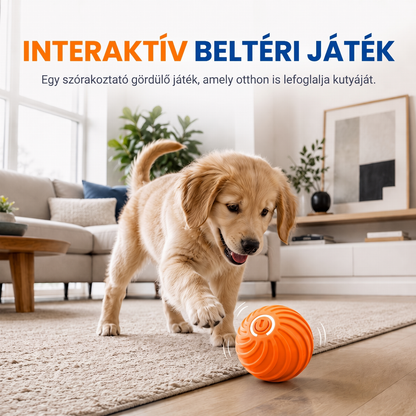 🐶 AKÁR 49% KEDVEZMÉNY! Okos interaktív ugráló labda – Automatikusan guruló kutyajáték, USB-s ✨