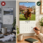 🐮🐄 2027-es Grumpy Highland Cows A4-es fali naptár – Mord skót tehenek, humoros falinaptár 📅