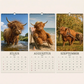 🐮🐄 2027-es Grumpy Highland Cows A4-es fali naptár – Mord skót tehenek, humoros falinaptár 📅