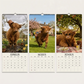 🐮🐄 2027-es Grumpy Highland Cows A4-es fali naptár – Mord skót tehenek, humoros falinaptár 📅